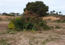 Free green days for Murray Bridge council residents