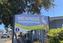 Market fun in Meningie