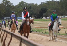 Race action, family fun