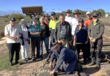 Milang’s golden spike day