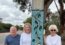 New addition to ‘Bridge