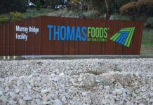 Thomas Foods reviews survey feedback