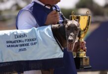 Darcy Dakota wins Cup