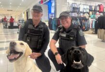 Fish, dogs and a cuppa