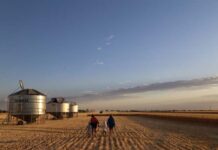 Roundtable discusses gaps