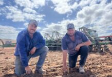 Taking the gamble of rain