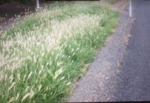 No weed woes for Mid Murray