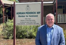 Backing bush in budget