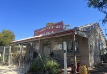 History set to come alive