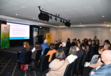 Shaping sustainable futures