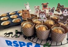 Take a walk, grab a treat