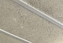 What does your mum mean to you?