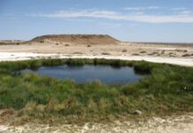 Basin water key to health