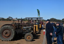 Caterpillar centenary celebrated