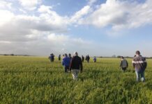 Funding for land managers