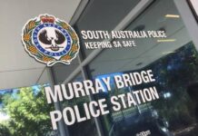 Container theft arrest