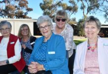 Spirit of giving shines bright