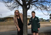 Rocking around the Karoonda Rock Swap Tree