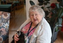 Farm animals visit Jallarah