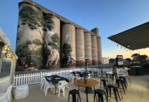 SALA shines on Karoonda