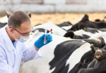 Nominations open for biosecurity award
