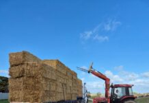 Pubs donate for drought relief