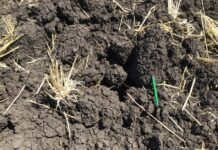 Carbon essentials workshop