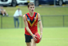 Taj rises to the top