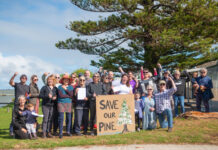 The tree stays standing