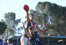 Cats win through to decider