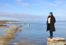 Algal bloom Senate inquiry to visit Victor Harbor, Coorong