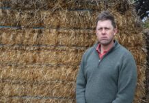 Rabbit control program benefits farmers