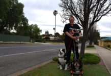 Assistant dog dispute