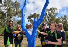 ‘Bridge’s blue tree of hope