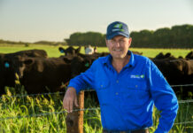 Feedlot expansion planned