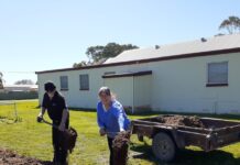 Jervois Hall grounds green