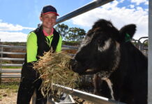 Young dairy star shines