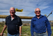 Fencing out the foxes