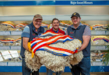 Radnor fleece reigns supreme