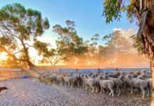 Drought revocation fails