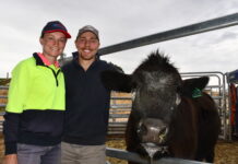 Dairy Adventures in spotlight