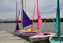 Celebrate disability day