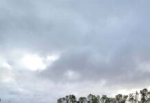 Athletics’ participation push