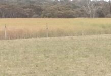 Early start for shooters