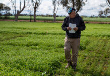 Applications open for grain grants