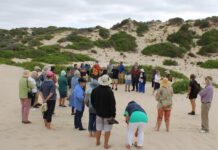 Sea, sand and summer