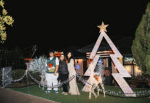 Lights shine on Willowbark