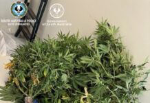 Drugs and gun found in Brinkley