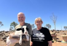 Furever Farm turns 10