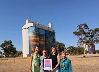 Win for silo art installation
